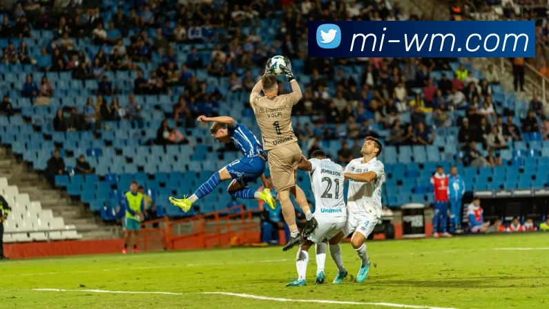 多媒体互动体验